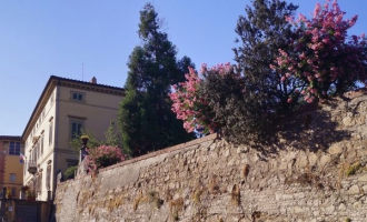 Escapade en Italie : Les villas médicéennes